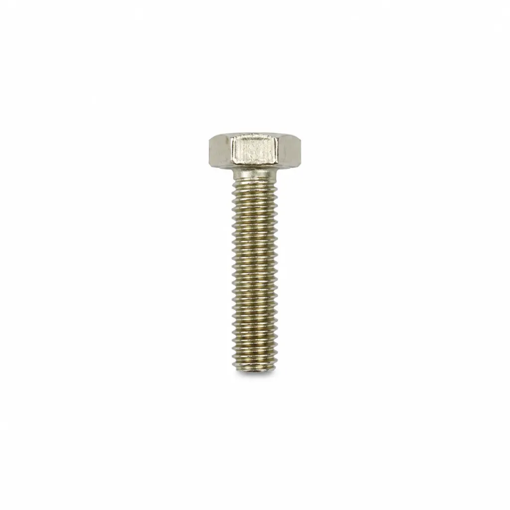 [10731] SS Bolt 12x50mm