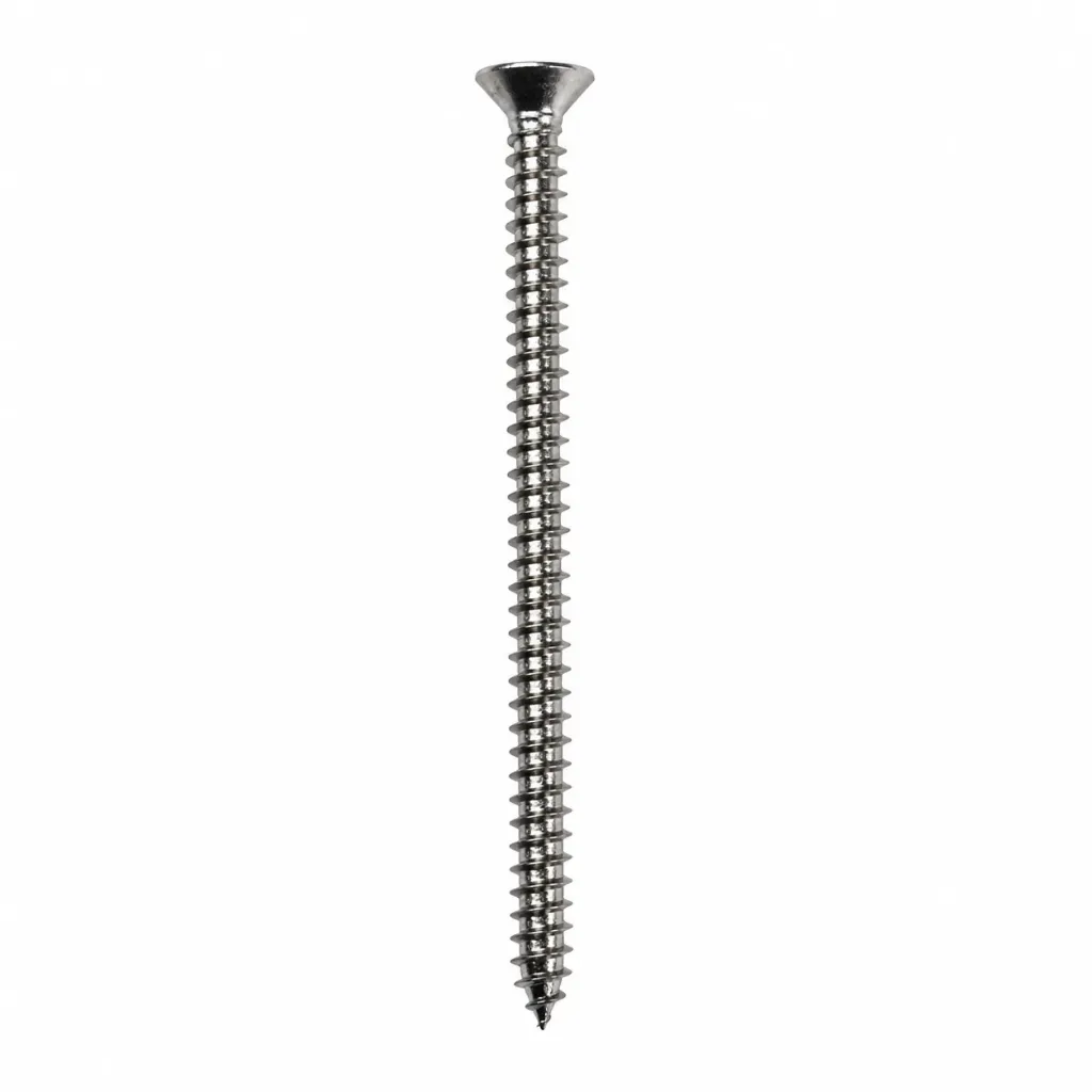 Self Tapping Screw P-H SS #10x3"