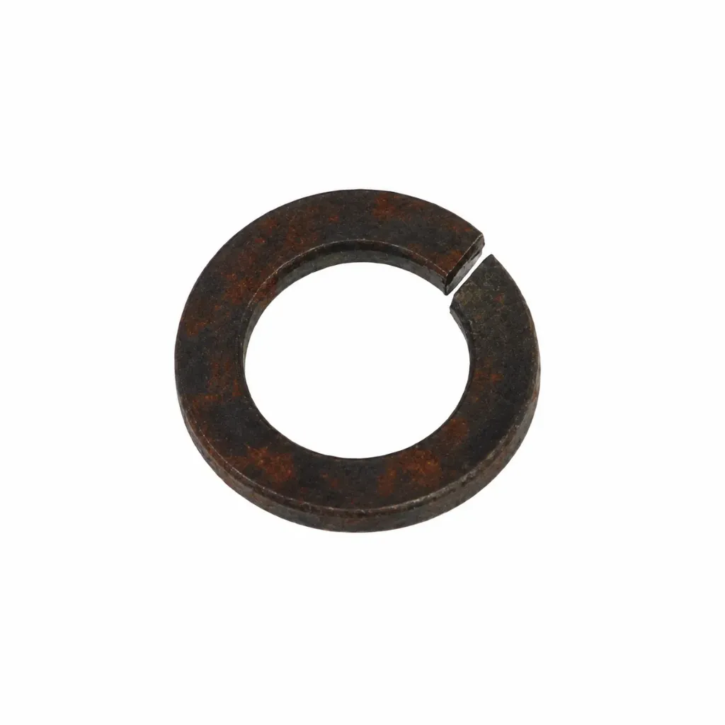 Anchor Bolt 5" 12mm with Spring Washer