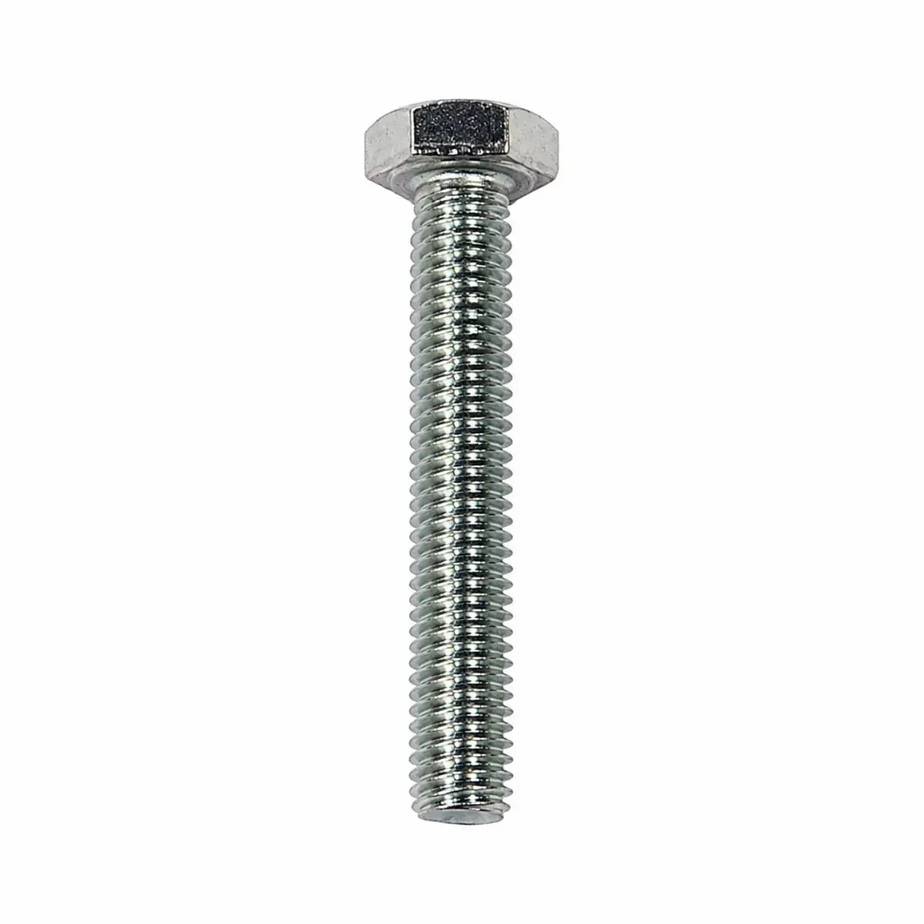 SS Bolt 6x50mm