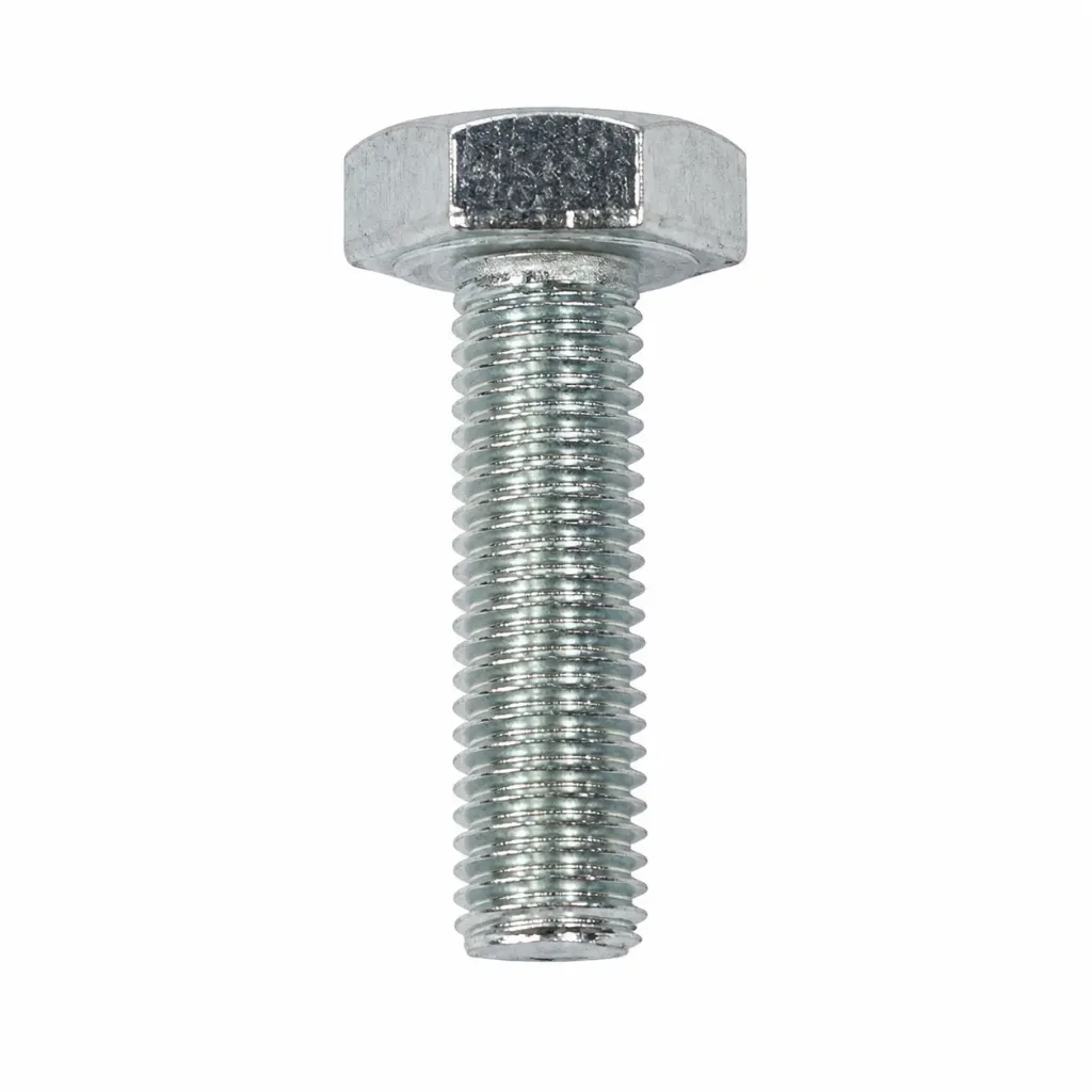 SS Bolt 8x30mm