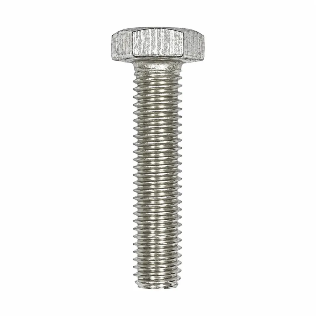 [10732] SS Bolt 12x60mm
