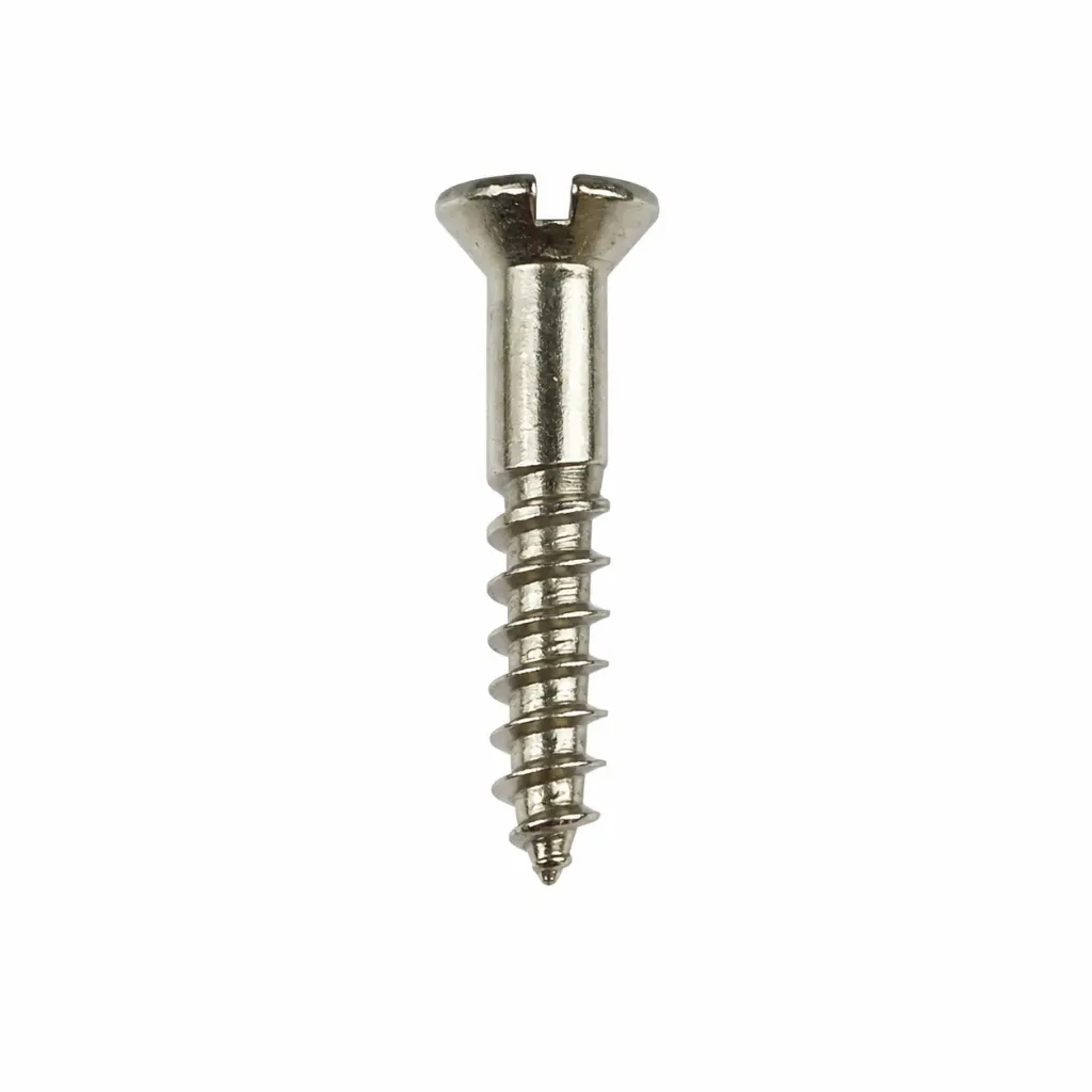 Mirror Screw CP1"