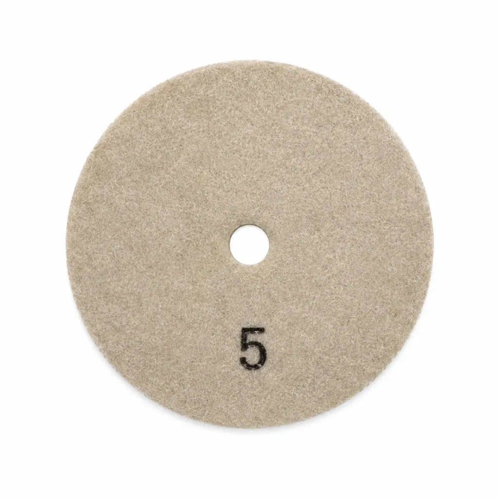 Polishing Disc #5