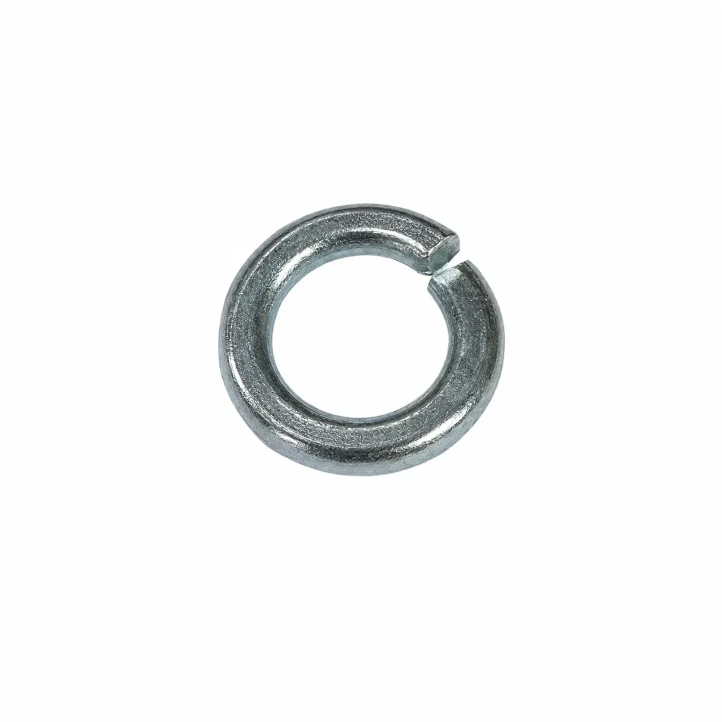 GI Spring Washer 10mm