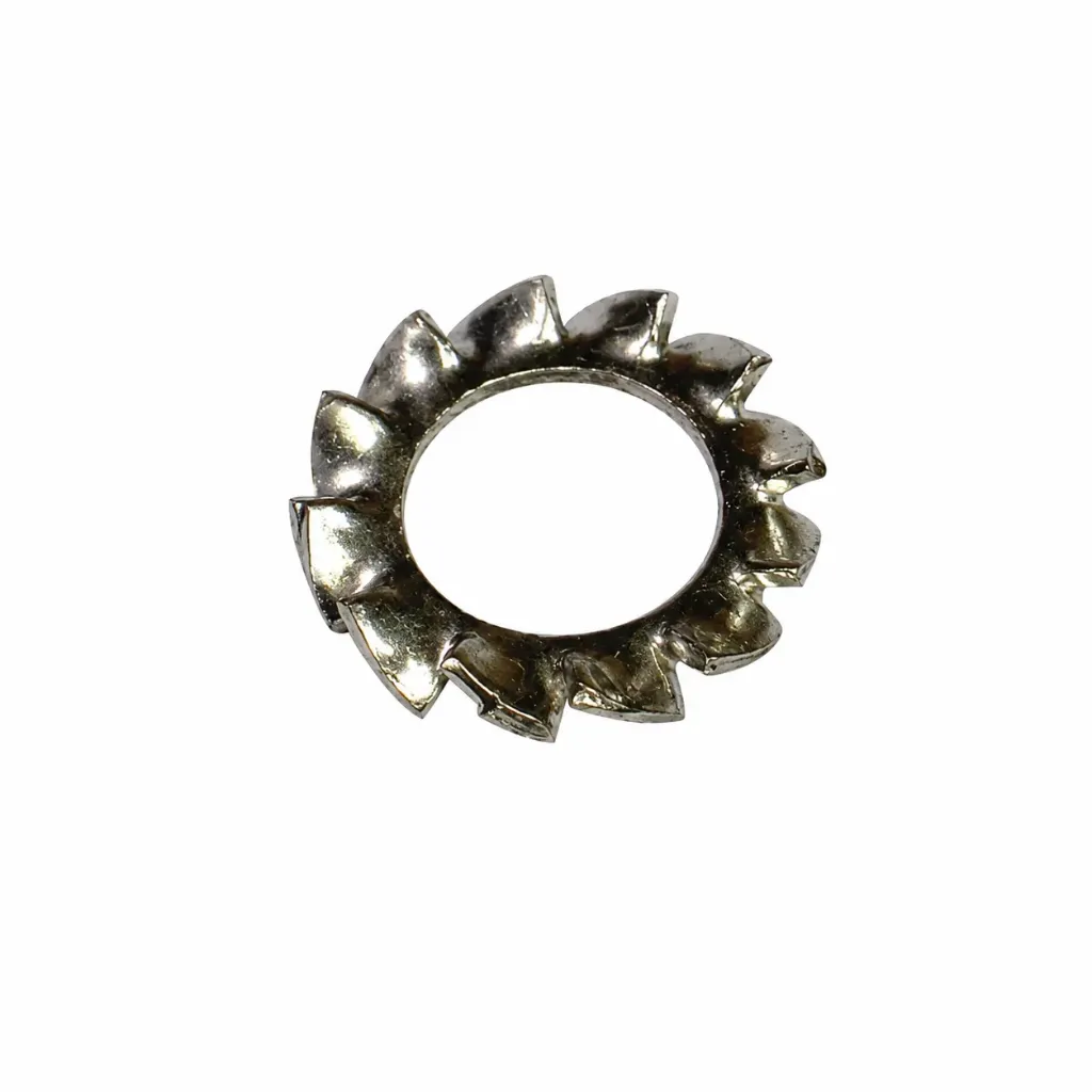 SS External Star Washer 10mm