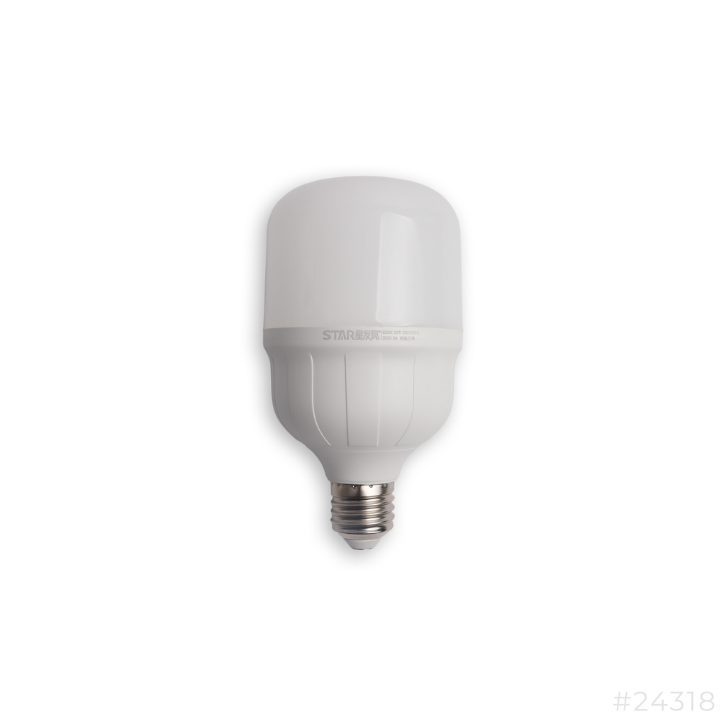 Led Bulb E27 30w DL