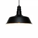 Hanging Pendant Light JJ-6235