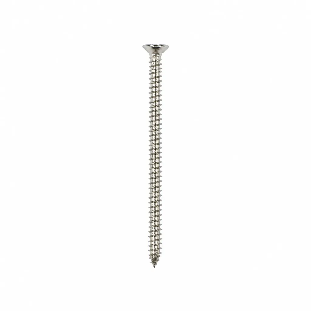 Self Tapping Screw SS CSK #8 x 3"