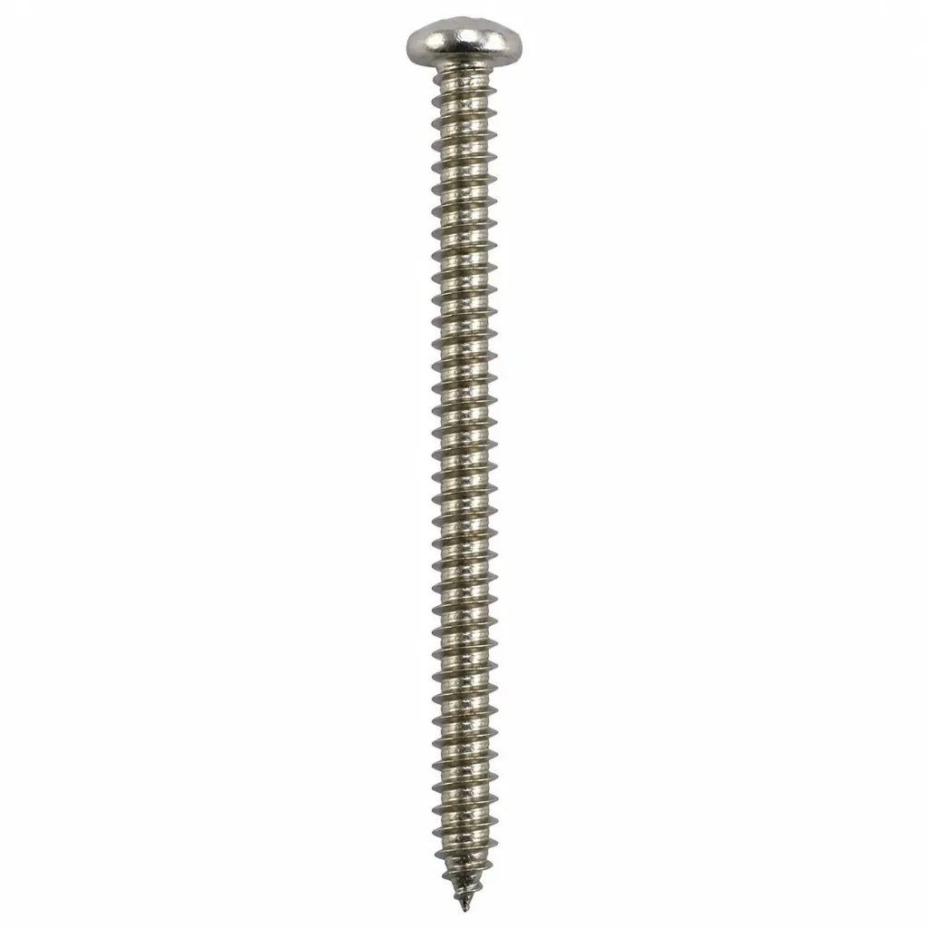 Self Tapping Screw PH SS #8x3"
