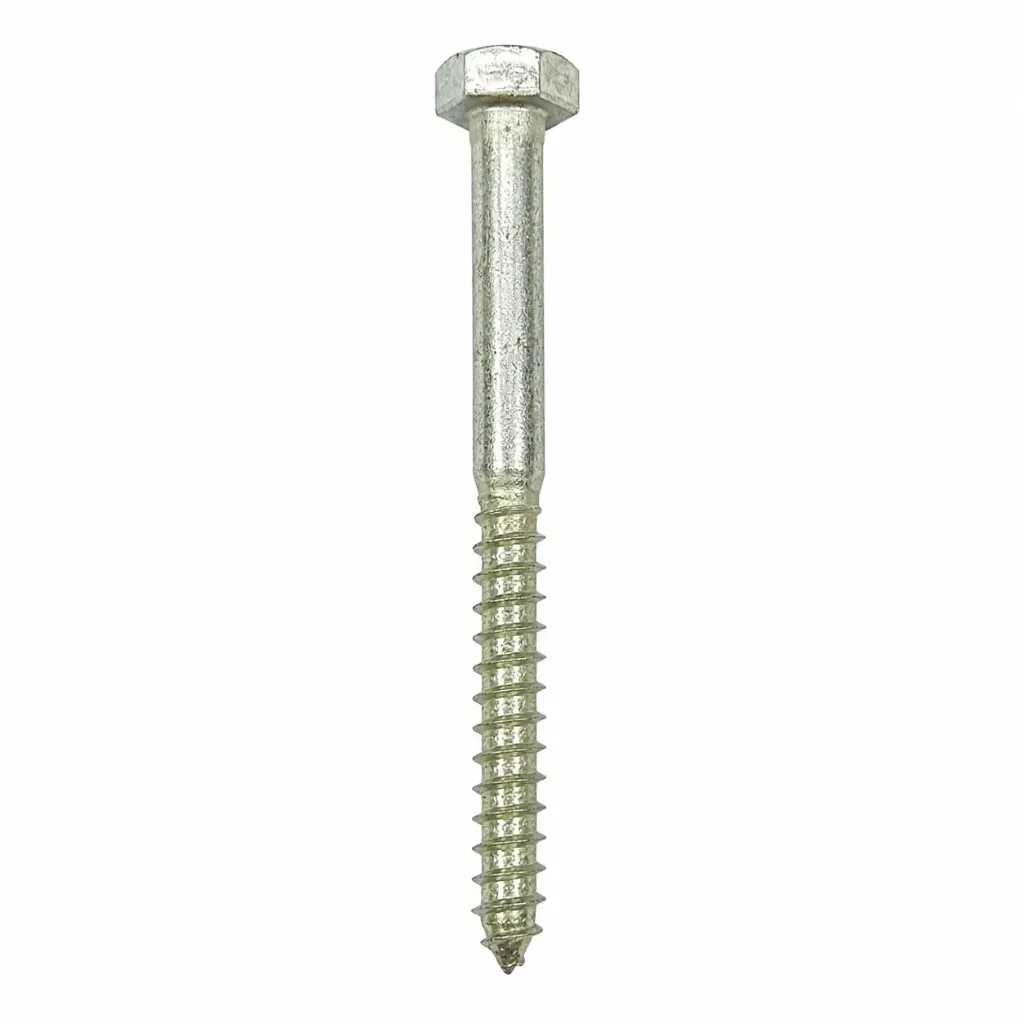 SS Coach Screw No.10 x 120mm