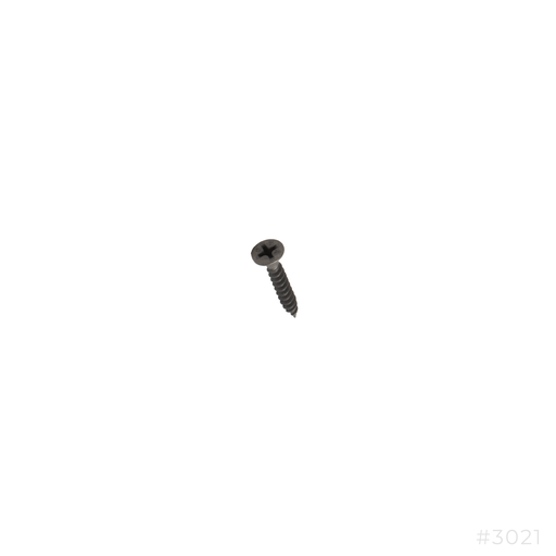 [3021] Dry Wall Screw #8x1"